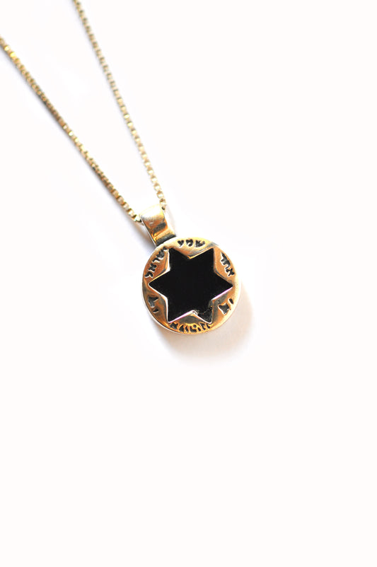 Silver and Black Garnet Star of David Necklace